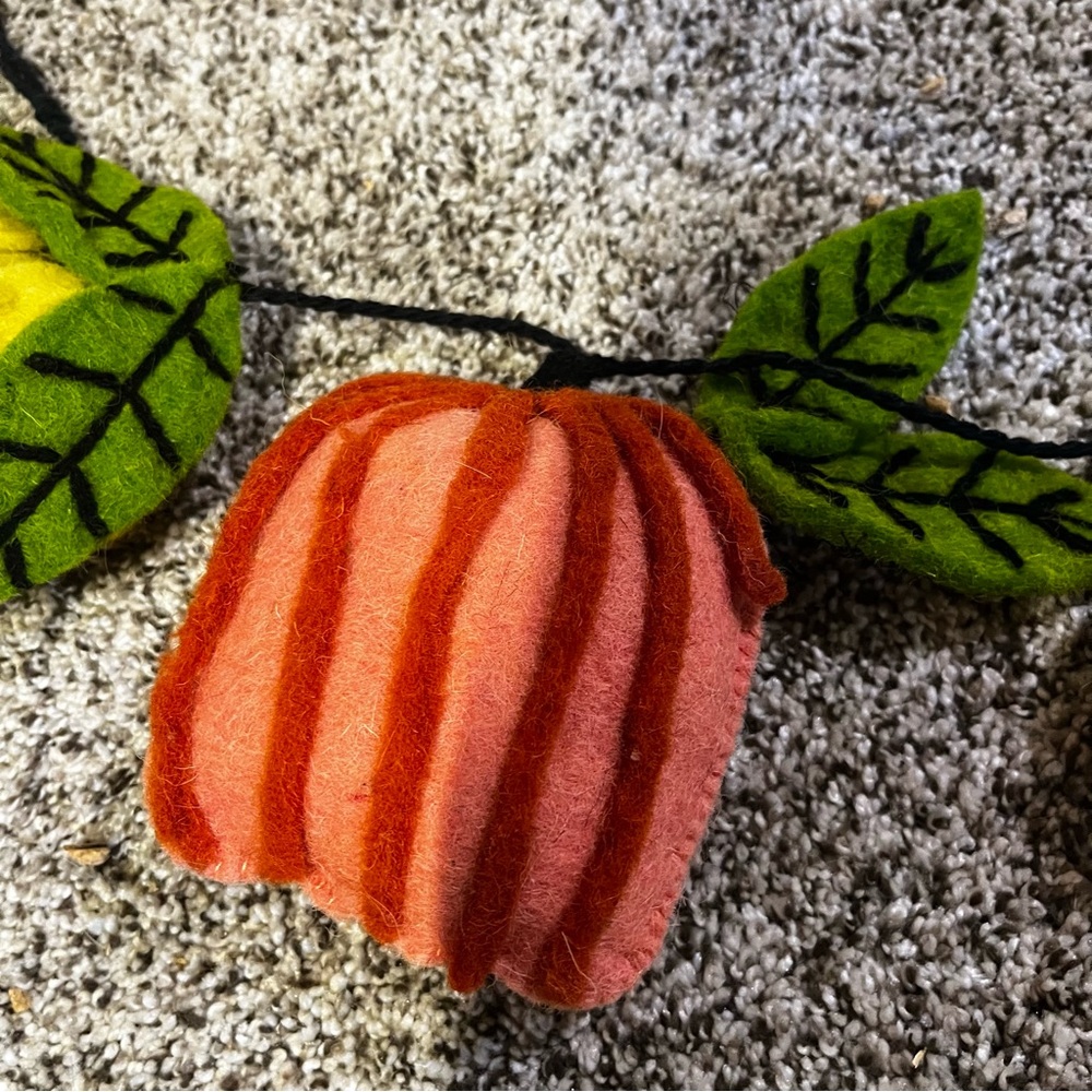 Company store felt fall pumpkin garland - Picture 4 of 4
